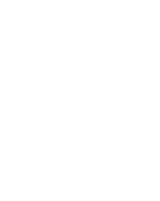 Escudo FI